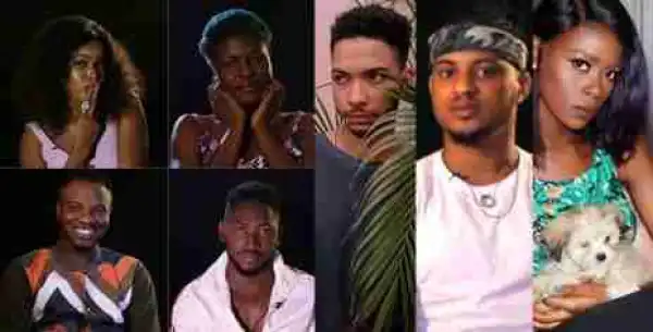 #BBNaija: Housemates Banned From Laughing And Touching!